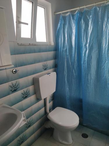 bagno blu con servizi igienici e lavandino di Ilias apartment a Heraklion