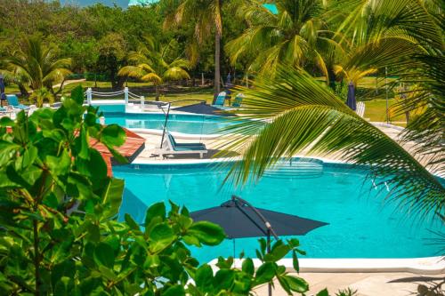 a large pool with blue water and palm trees at Best Western Grand Baymen Gardens in San Pedro