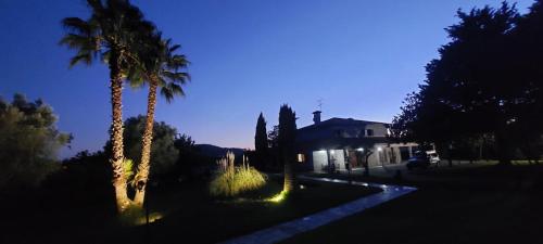 a night view of a house with palm trees at Quinta do Carvalho - Nature Guest Houses in Guimarães