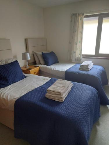 1 dormitorio con 2 camas con sábanas azules y ventana en 10 The Parklands - Cosy Bungalow in Cornwall, en Kilkhampton