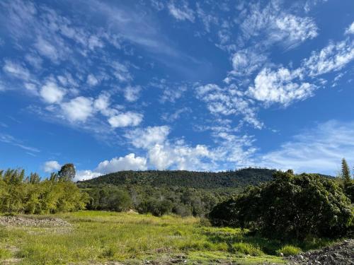 a field with trees and a blue sky with clouds at GSM Bamboo Farm RV and Caravan site in Gundiah