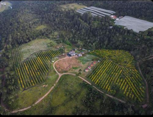 an aerial view of a farm in the middle of a field at Cabanas Sol Poente in Bom Jardim da Serra