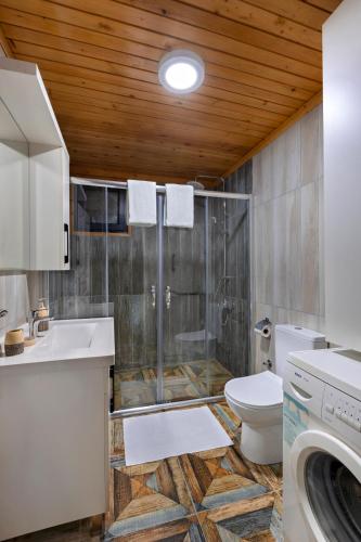a bathroom with a shower and a toilet and a sink at Villa Olymposgarden in Kumluca