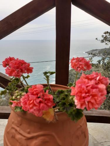 a vase with flowers sitting on a window sill at LIMNIONAS SUNVIEW in Xorychti