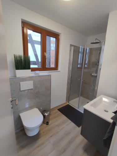 een badkamer met een toilet, een douche en een wastafel bij Ferienwohnung Steigner in Dierbach