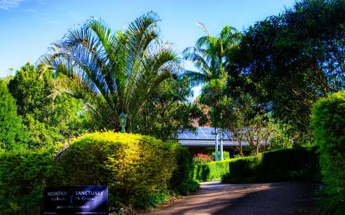 a walkway through a park with trees and bushes at Mountain Sanctuary B&B in Mount Tamborine