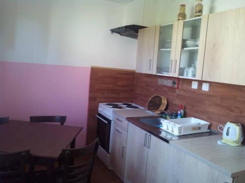 a kitchen with a stove and a sink and a table at Apartmány Mimpi in Frymburk
