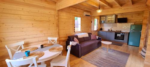 a living room with a couch and a table in a cabin at Domek z Sauną i balią jakuzii w głuszy in Borzynowo