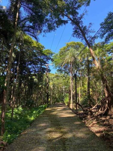 a road in the middle of a forest with trees at Momarco Forest Cove in Tanay