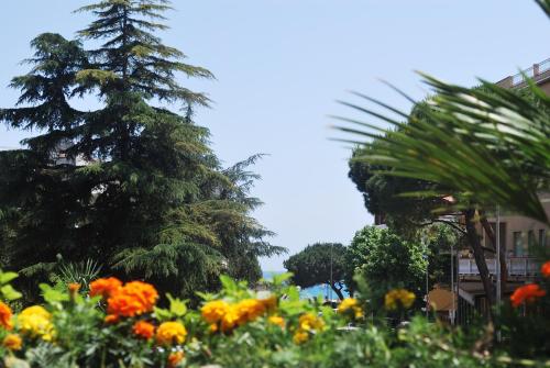 Fotografie z fotogalerie ubytování Hotel Galleano v destinaci Marina dʼAndora