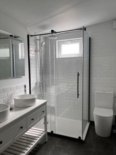 une salle de bain avec une douche, des toilettes et un lavabo dans l'établissement Maisonnette indépendante avec jardin/patio, à Nîmes
