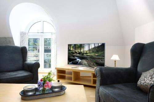 a living room with two chairs and a table and a tv at Parkhotel Flora in Bad Grund