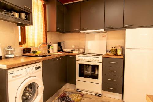 a kitchen with a washing machine and a washer at Anemolia Tiny Stone House in Palekastron