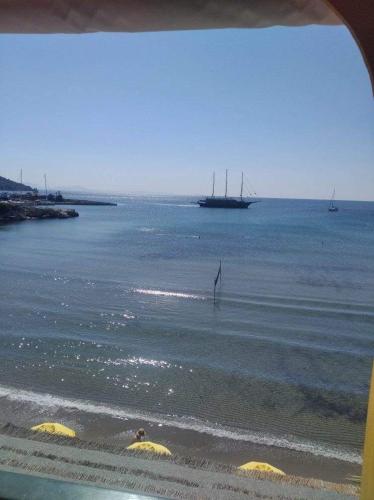 a bird standing in the water on a beach at Ammoudia Rooms in Agia Marina Aegina
