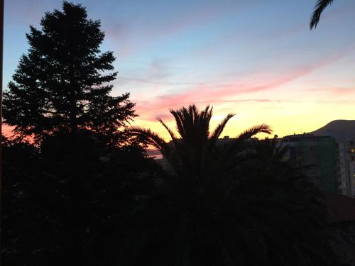 a sunset with a palm tree in the foreground at VillaPejina in Laredo