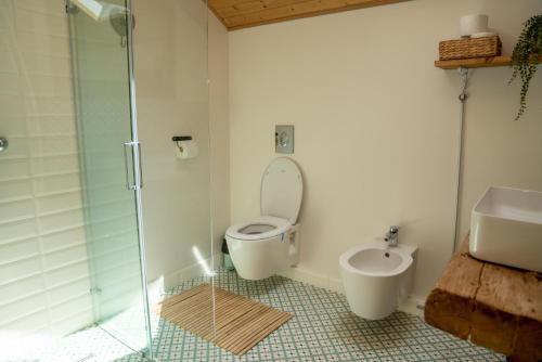 a bathroom with a shower and a toilet and a sink at Casa de Sub Munte Fundata in Fundata