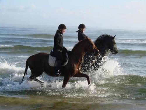 two people riding horses in the water on the beach at Friesenhof Hotel-Restaurant-Reitanlage in Trassenheide