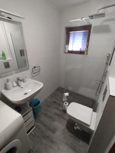 a bathroom with a sink and a toilet and a mirror at Plavi apartman Airport in Belgrade