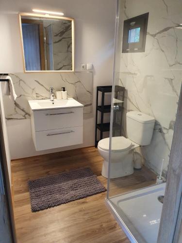 a bathroom with a sink and a toilet and a mirror at Domek letniskowy Osieki in Osieki