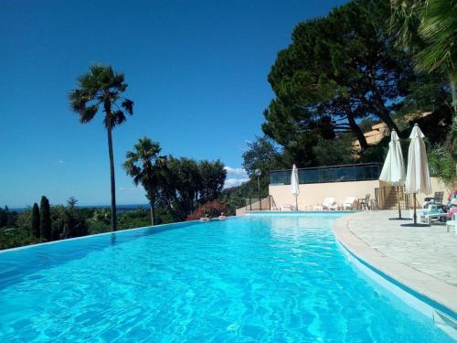 a swimming pool with chairs and umbrellas at Cannes Eden résidence de luxe piscine tennis in Vallauris