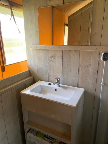 ein kleines Bad mit einem Waschbecken und einem Spiegel in der Unterkunft BG Apartments Safaritent in Somogyhatvan