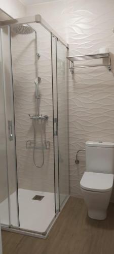 a bathroom with a shower and a toilet at HOSTAL FORMOSO in San Francisco