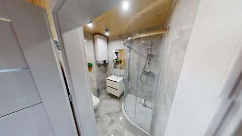 a bathroom with a shower and a toilet and a sink at Domki Kalimera in Jantar