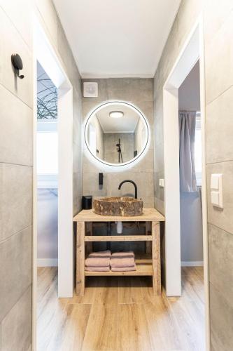 a bathroom with a sink and a mirror at B&B The Wellness Cottage in Dordrecht