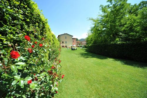 a hedge with red roses and a house in the background at Antico Pastificio in Greve in Chianti