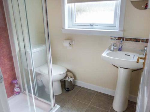 a bathroom with a shower and a toilet and a sink at Hillfoot in Kingussie