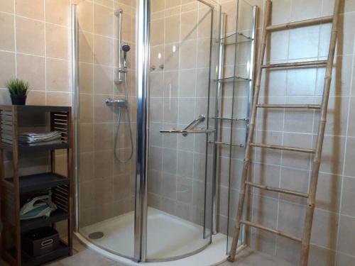 a shower with a glass door and a ladder at Au Domaine du Petit Cercoux in Saint-Saturnin-du-Bois
