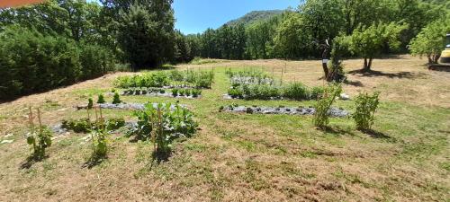a garden in the middle of a field at Masseria boutique b&b in Montella