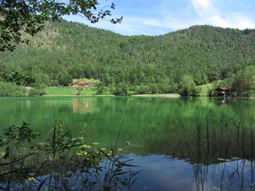 a view of a lake with mountains in the background at Hotel Pension Hubertus in Bad Reichenhall