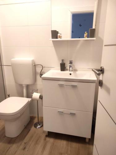 Apartment Jacky Rovinj with Parking and free bikes