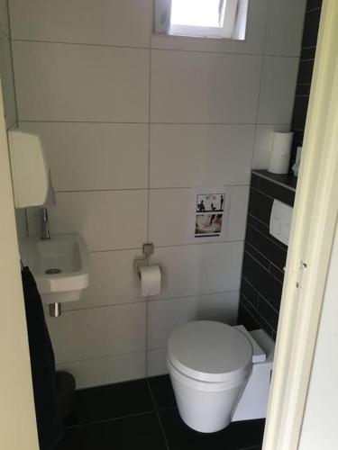 a small bathroom with a toilet and a sink at HolidayHome Zonnestraal 9p Amsterdam and the beach in Heerhugowaard