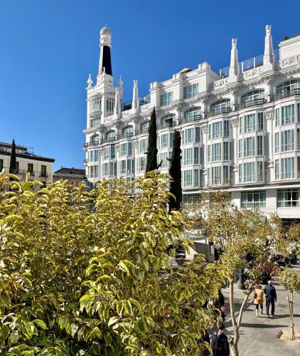 U-Sense Madrid Santa Ana photo 23