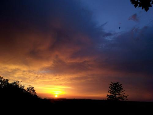 アパートメントまたは周辺から見られる日の出または日の入りの景色