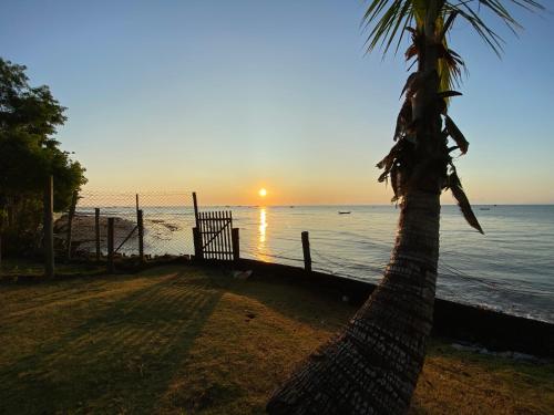 a palm tree next to the ocean with a sunset at Pousada Casarão - Pé na Areia Cumuruxatiba in Cumuruxatiba