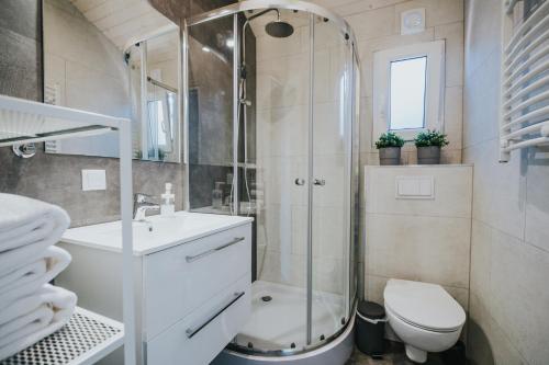 a bathroom with a shower and a toilet and a sink at Domki Energylandia Zator Przybradz in Przybradz