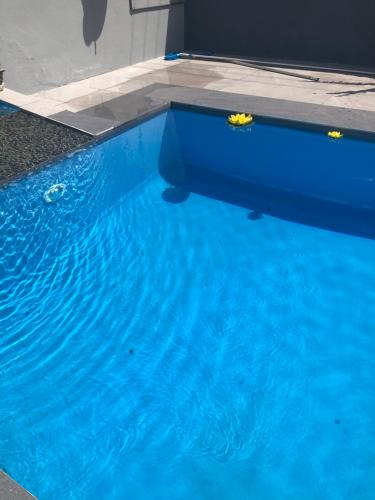 a swimming pool with blue water in a building at Bird Song Cottage - Table View in Cape Town