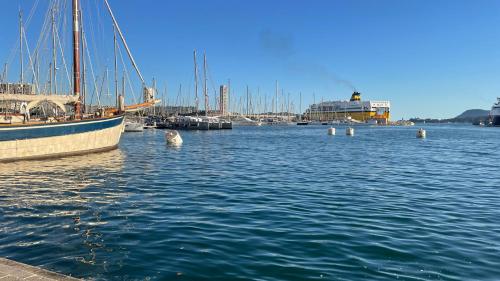 a group of boats are docked in a harbor at Vue sur rade appartement élégant vaste climatisé étage élevé ascenseur proche parking et toutes commodités au cœur du Toulon historique in Toulon