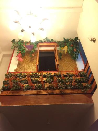 a wooden box with a garden inside of it at Hope Inn in Bolod