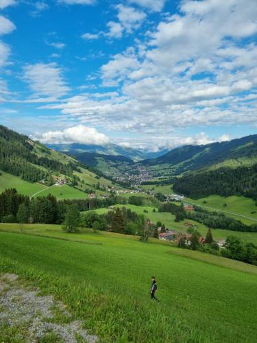 Naturlandschaft in der Nähe der Ferienwohnung