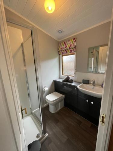 a bathroom with a toilet and a sink and a shower at Lakeside 18 in Warton