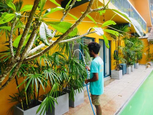 Ein Garten an der Unterkunft Suite Lanka