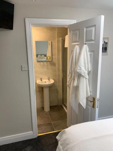 a bathroom with a sink and a shower and a toilet at Madelines Accommodation in Tinahely