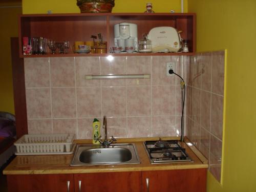 a kitchen counter with a sink and a stove at Liza Apartman in Gyula