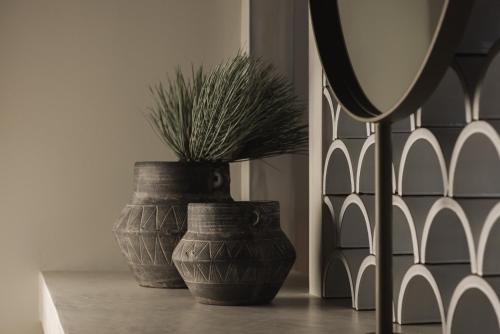 two large vases sitting on a table with a plant in them at Panorama Inn in Lithakia