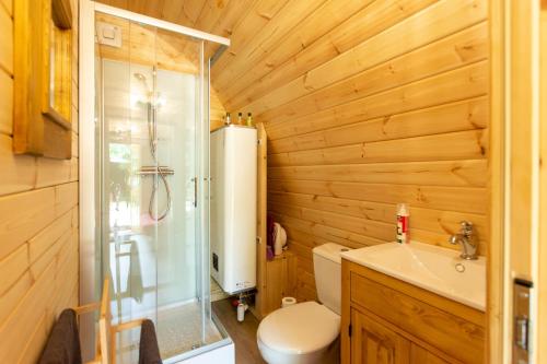 a bathroom with a shower and a toilet and a sink at Cabane en bois avec bain nordique in Asnières-sur-Vègre