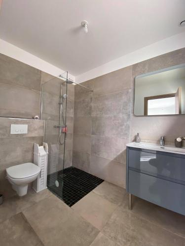 une salle de bain avec une douche, des toilettes et un lavabo dans l'établissement Jolie petite maison à 50 mètres de la plage, au Cap d'Agde